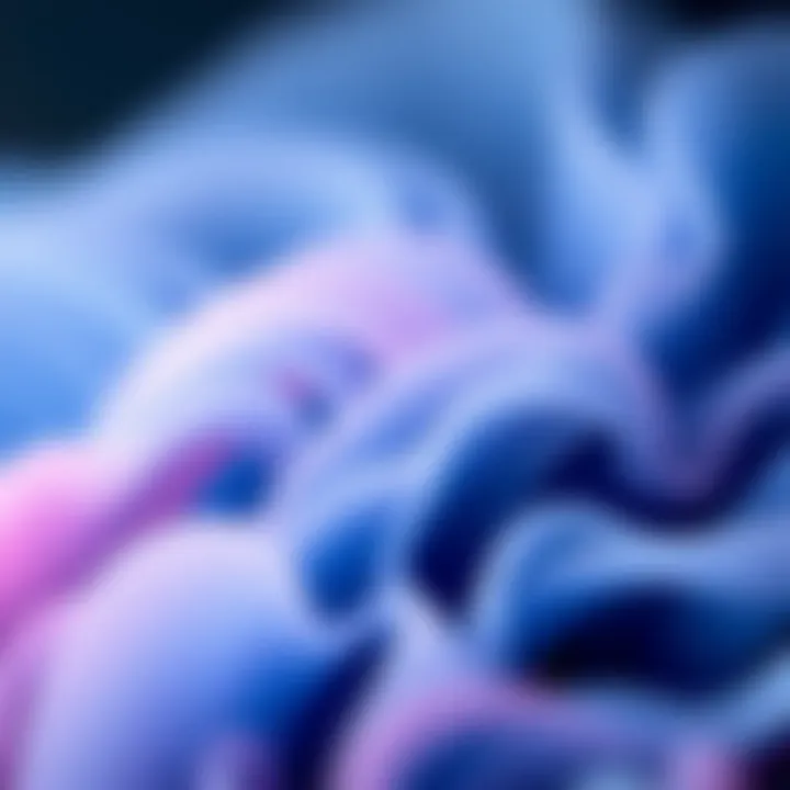 Magnificent Exploring Free Wallpaper Apps: Enhancing Your Digital Aesthetic