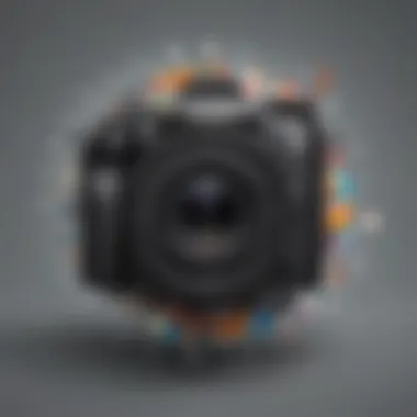 Effortless Photo Management Solution Advanced photo organization tool