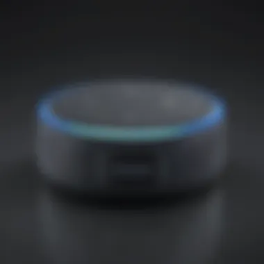 Advanced Voice Recognition Echo Dot