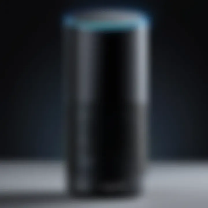 Comparative design elements of Amazon Echo and Echo Plus