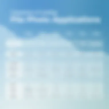 A visual comparison chart of leading file photo applications.