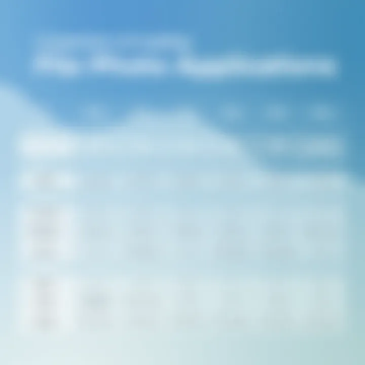 A visual comparison chart of leading file photo applications.