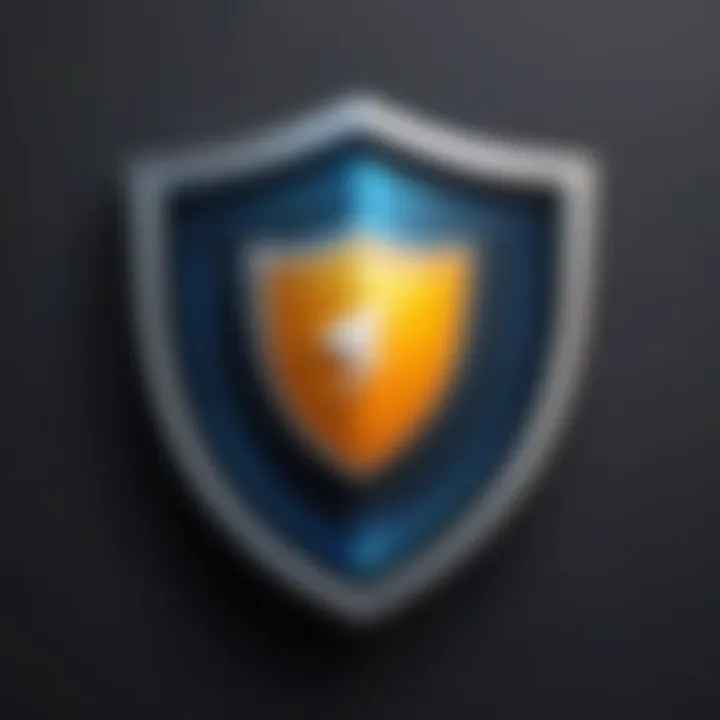 Secure shield icon for online privacy