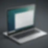 Chromebook displaying file manager interface