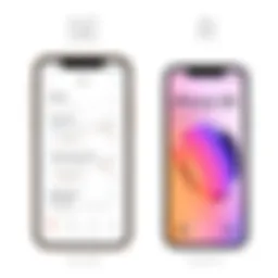 Comparing the iPhone SE and iPhone XR: An In-Depth Analysis Introduction