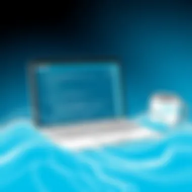 Installing SideQuest on macOS Installation Process of SideQuest on macOS