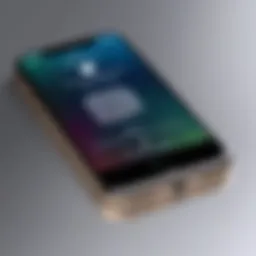 Apple ID password management interface on an iPhone