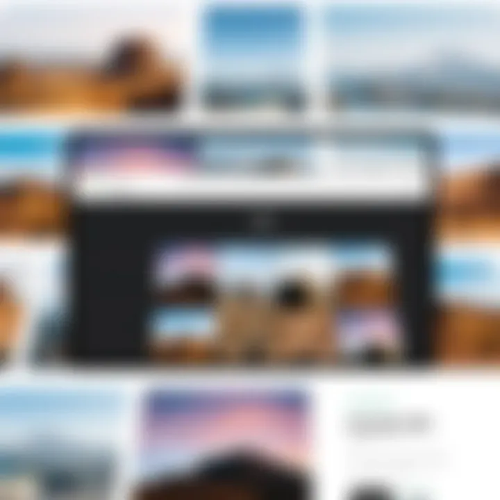 A visually appealing layout example of a PDF document created from photos.