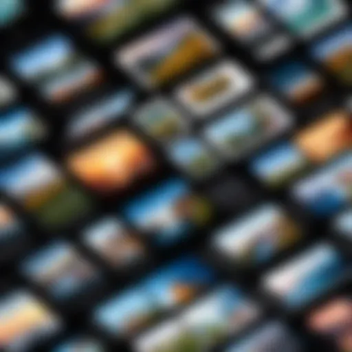 iPhone displaying photo gallery