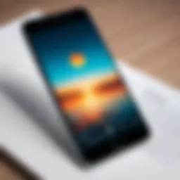 Smartphone displaying a photo ready for conversion