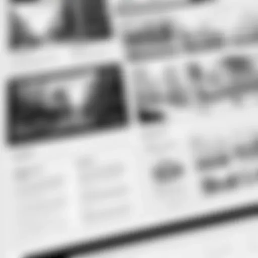 Creative storyboard layout for Instagram Reels