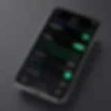 Custom alarm settings interface on iPhone