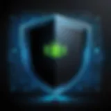 Cybersecurity Shield Icon