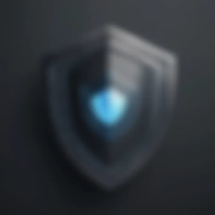 Data Protection Shield Icon