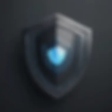 Enhanced Data Protection Measures Data Protection Shield Icon