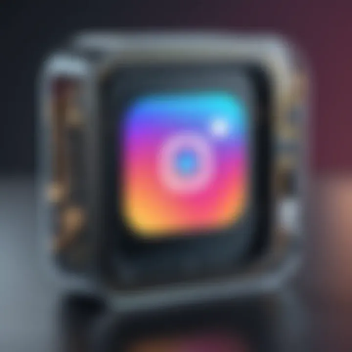 Diagram showing Instagram features indicating a block