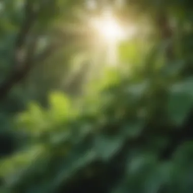 Lush green leaves in sunlight