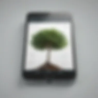 Digital Plant Tree Identifier App Interface