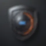 Digital Security Shield