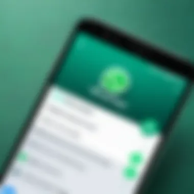 User interface of WhatsApp installation screen