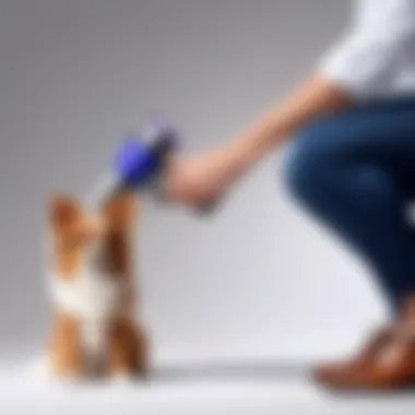 Precise Grooming Control Pet owner using Dyson grooming tool