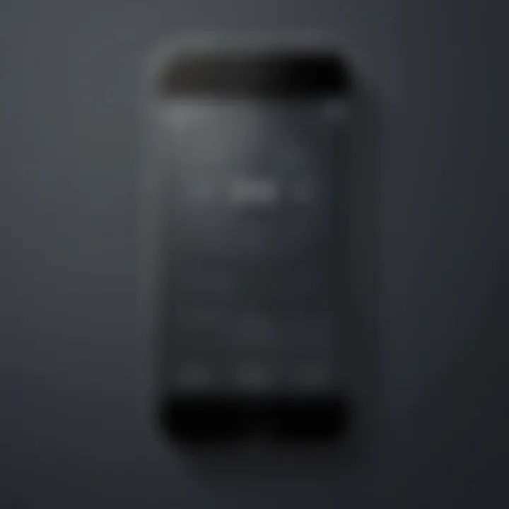 Elegant iPhone photo widget design