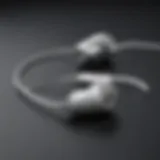 Elegant USB Type-C Earbuds