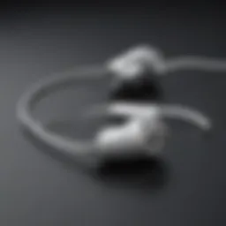 Elegant USB Type-C Earbuds