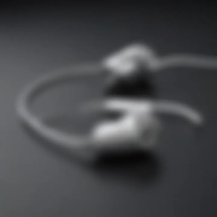 Elegant USB Type-C Earbuds