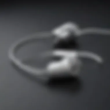 Sleek and Stylish USB Type-C Earbuds Elegant USB Type-C Earbuds
