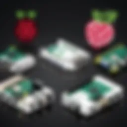 A side-by-side comparison of Raspberry Pi alternatives showcasing specifications and features