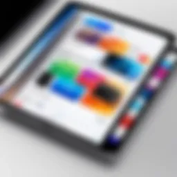 Modern iPad displaying Apple Wallet app interface