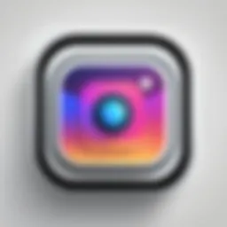 A visual representation of technology analyzing Instagram profiles