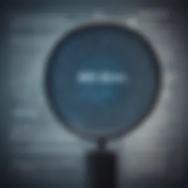 Digital Insights Revealed Magnifying glass focusing on a digital screen