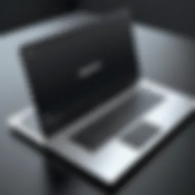 A comparison chart highlighting the pros and cons of private label laptops