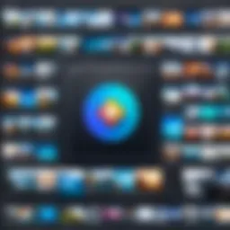 A sleek interface showcasing photo organization tools