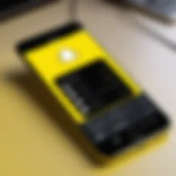 Illustration of a smartphone displaying a Snapchat emulator interface