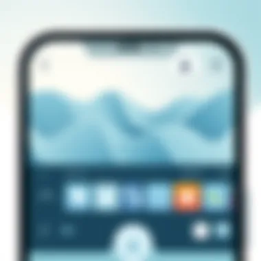 A visually appealing interface of a popular picture editing app showcasing various editing tools.