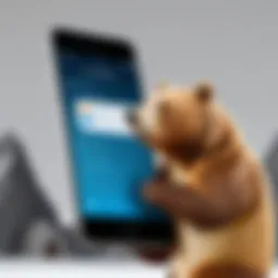 Visual representation of TunnelBear interface on iPhone