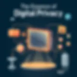 Illustration depicting digital privacy concepts