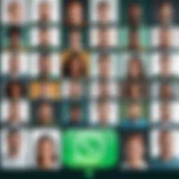 A diverse group of individuals engaging in a WhatsApp video call