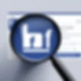 Facebook logo with magnifying glass icon