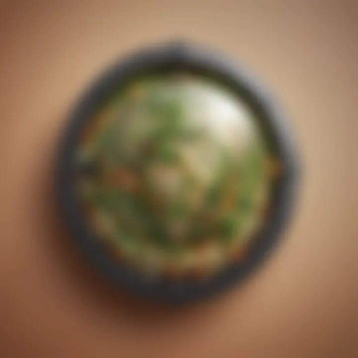 Global Food Security Shield