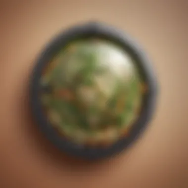 Global Food Security Shield Global Food Security Shield