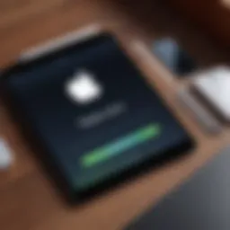 Overview of Apple ID settings on iPad