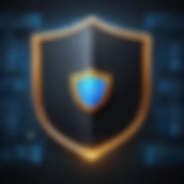 A digital shield symbolizing online privacy and security