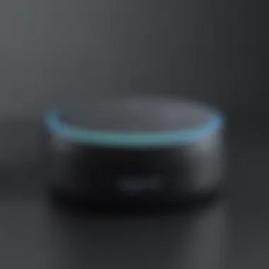 Immersive Audio Experience Echo Dot