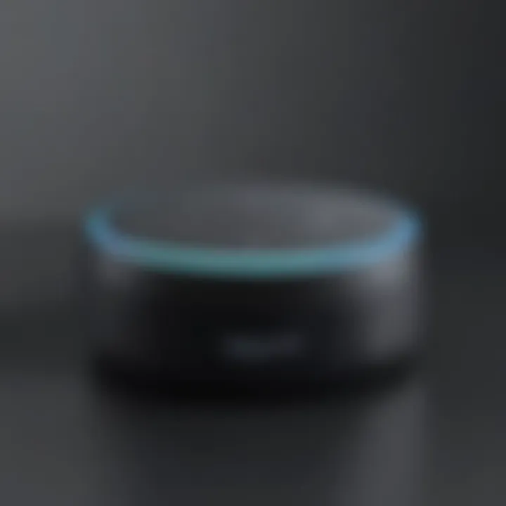 Immersive Audio Experience Echo Dot