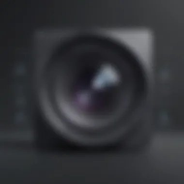 Immersive Video Filters Immersive Video Filters