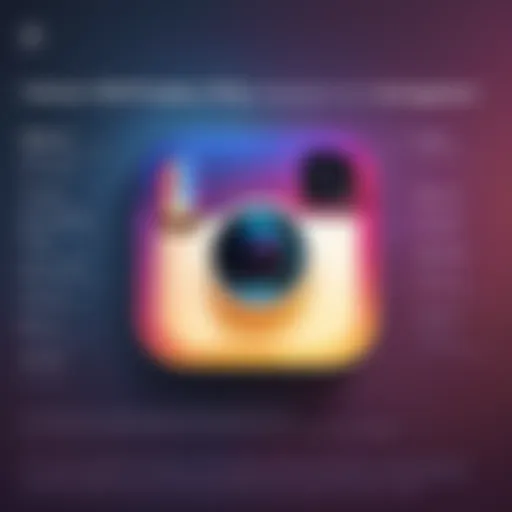 Illuminating the Intricacies of Instagram Privacy